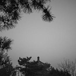 免费二次元MOBA游戏《永恒轮回》Steam国区即将下架 